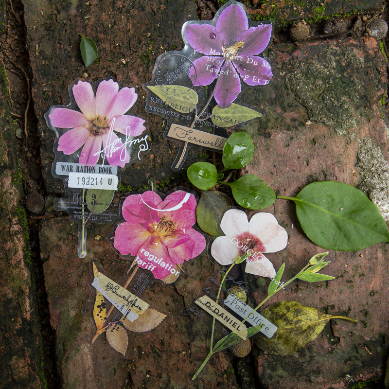 Dried Flower Bulk - Paquete de 10 Pegatinas de la