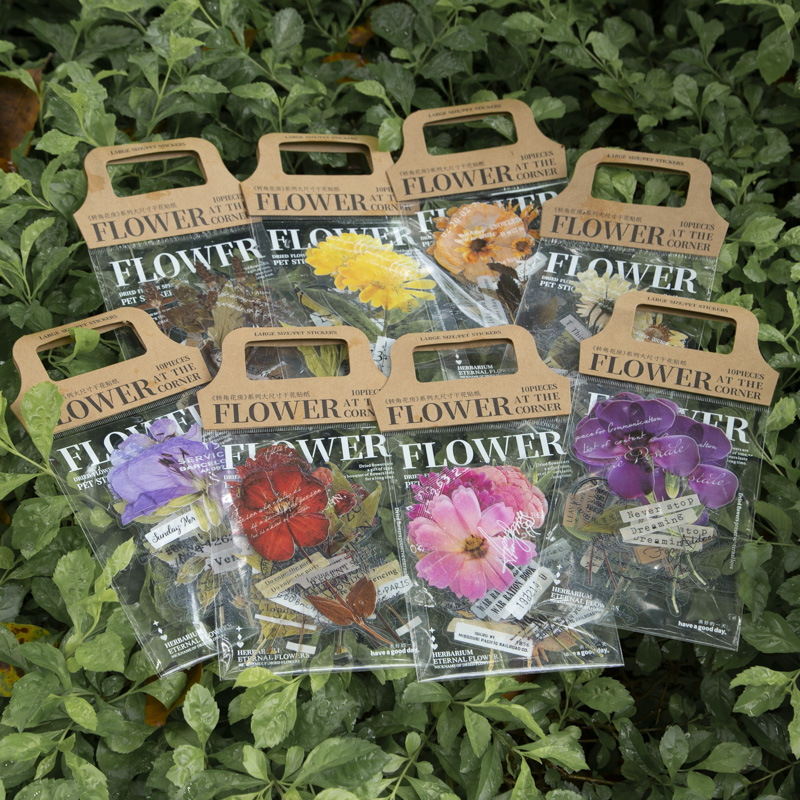 Paquete de 10 Pegatinas de la  - Dried Flower Bulk reseña y precio